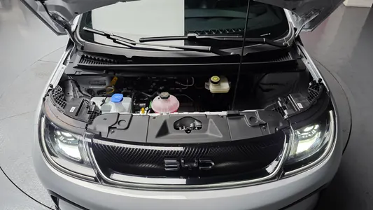 BYD 돌핀 2026 6