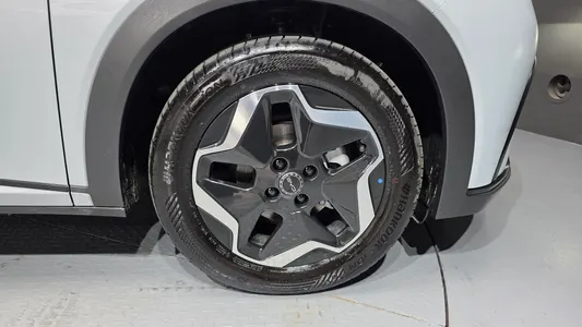 BYD 돌핀 2026 21