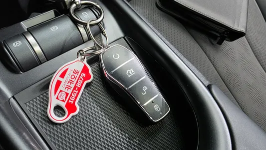 BYD 돌핀 2026 27