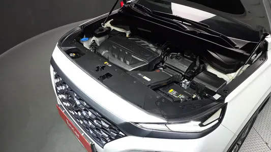 Hyundai TM 2.0 2WD 2020 5