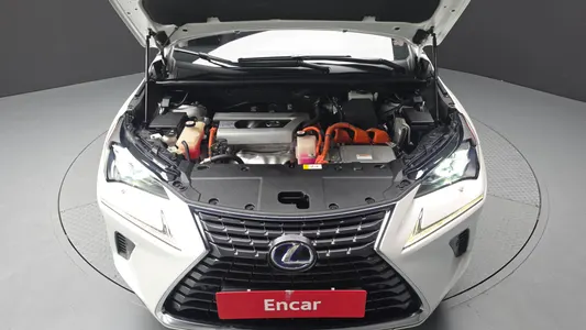 Lexus NX300h 2017 6