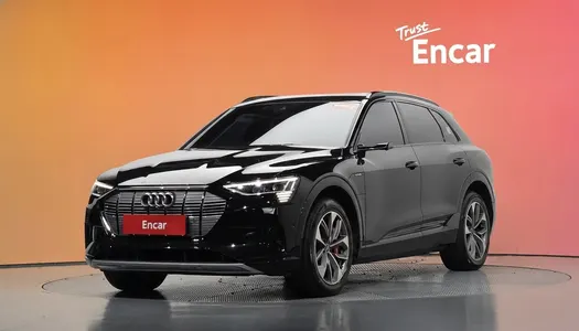 Audi e- 55 2021 20