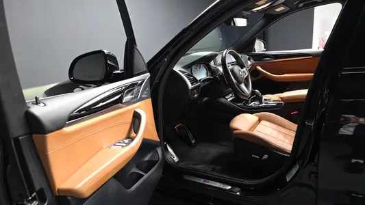 BMW X3 (G01) xDrive 20d M 2019 9