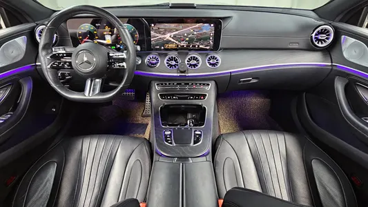 Mercedes-Benz CLS-Class C257 CLS300d 4MATIC 2022 7