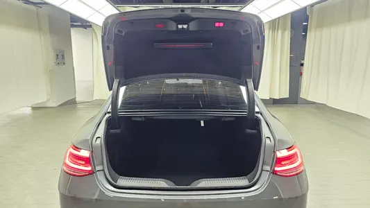 Mercedes-Benz CLS-Class C257 CLS300d 4MATIC 2022 17