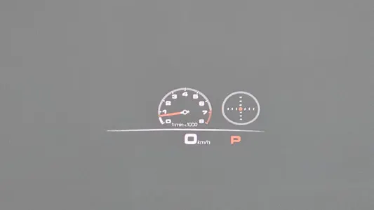 Porsche (PO536) 3.0 2021 18
