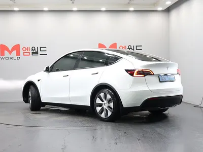 Tesla Y RWD 2024 4