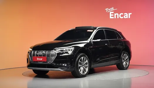 Audi e- 55 2021 21